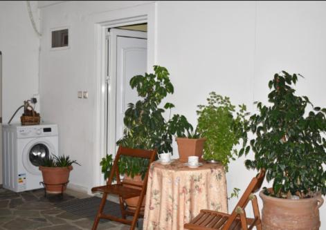 Zoe'S Apartment Bright&Cozy 雅典 外观 照片